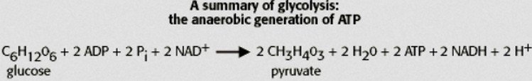 equation of aerobic glycolysis